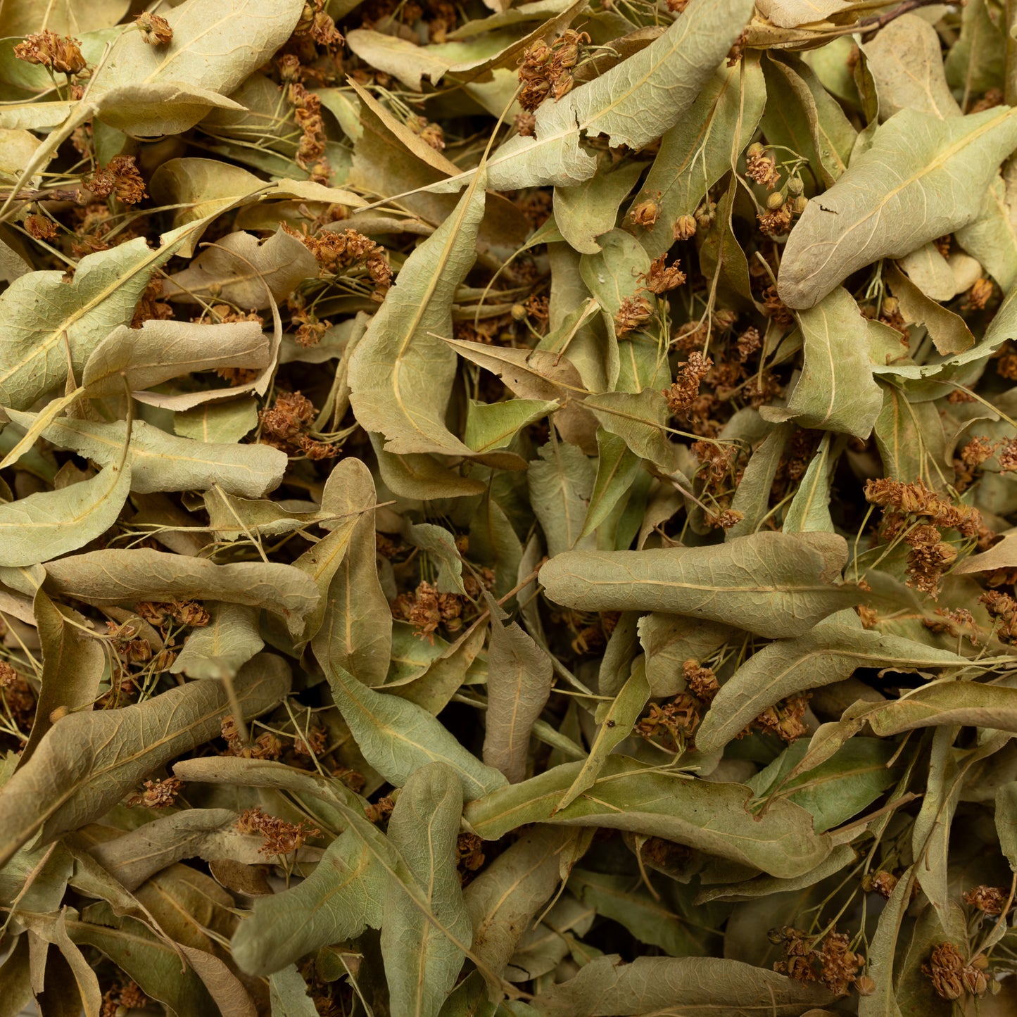 Linden Blossom Tea – 20g Natural Herbal Tea