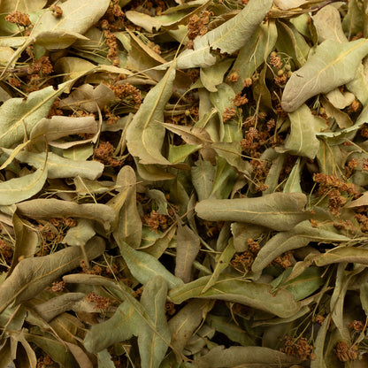 Linden Blossom Tea – 20g Natural Herbal Tea